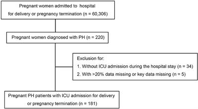 Pregnant outcomes of critically ill pregnant patients with pulmonary hypertension: A multicenter retrospective study